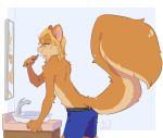  anthro ashnard big_tail boxer_briefs brushing_teeth clothed clothing delstimpson fluffy fluffy_tail fur green_eyes hi_res male mammal mirror multicolored_fur rodent simple_background sink squirrel tan_fur topless two_tone_fur underwear 