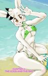  anthro ball beach bikini breasts clothed clothing daigaijin female furryfight_chronicles lagomorph looking_at_viewer mammal muko nipple_bulge rabbit seaside smile solo swimsuit 