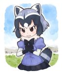 animal_ears blue_hair blush bow bowtie brown_eyes commentary common_raccoon_(kemono_friends) elbow_gloves eyebrows_visible_through_hair gloves grey_hair hakka720_2 hands_on_own_chest hands_together kemono_friends multicolored_hair pleated_skirt puffy_sleeves raccoon_ears raccoon_tail short_hair skirt solo tail white_hair 