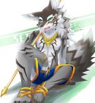  2018 abs anthro canine clothed clothing digital_media_(artwork) fur korota male mammal pecs piercing seth_(tas) solo swimsuit tokyo_afterschool_summoners topless 