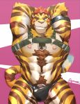  abs anthro clothing feline fur hair hi_res looking_at_viewer male mammal muscular muscular_male nipples pecs ragtouran red_hair solo striped_fur striped_tail stripes teeth tiger underwear 