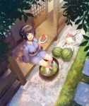 :d animal arm_support black_hair blue_eyes blue_kimono breasts butterfly_net cat clothed_animal day food fruit grey_hat hairband hand_net hat holding holding_food japanese_clothes kimono long_sleeves looking_at_viewer medium_breasts mini_hat nagu obi open_mouth original outdoors pinwheel_hair_ornament popsicle round_teeth sash shade short_hair short_kimono sitting sleeves_past_wrists smile soaking_feet solo standing teeth upper_teeth veranda water watermelon white_hairband wide_sleeves 