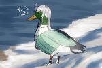  akitsushima_(kantai_collection) animal animal_focus animalization bangs beach beak bird blew_andwhite claws closed_mouth clothed_animal commentary_request duck from_side full_body graphite_(medium) grey_hair kantai_collection long_hair mallard nostrils ocean outdoors parted_bangs purple_sclera sketch solo standing traditional_media translated waves wing_collar 