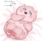  2017 anthro bear bed belly fur humanoid_hands jambavan japanese_text male mammal pink_fur slightly_chubby solo star_parlor text tokyo_afterschool_summoners young 