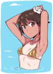  :o armpits arms_behind_head arms_up bathing bikini bikini_top blue_background blush breasts brown_bikini brown_eyes brown_hair collarbone em flower hair_flower hair_ornament head_tilt looking_at_viewer miyafuji_yoshika one-piece_tan parted_lips partially_submerged short_hair small_breasts solo strike_witches string_bikini swimsuit tan tanline underboob upper_body water water_drop white_flower world_witches_series 