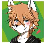  &lt;3 2014 anthro black_nose blue_eyes blush border brown_fur brown_hair canine cheek_tuft clothed clothing dipstick_ears dog fur green_background hair looking_at_viewer male mammal multicolored_fur saku1saya shirt simple_background smile solo tuft two_tone_background two_tone_fur white_border white_fur 