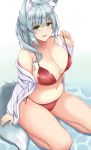  animal_ear_fluff animal_ears bikini blush breasts cleavage eyebrows_visible_through_hair fox_ears fox_tail green_eyes hair_over_shoulder highres kneeling large_breasts long_hair navel open_clothes open_mouth open_shirt original ponytail red_bikini shirt silver_hair sogaya solo swimsuit tail white_shirt 