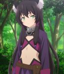  animal_ears black_hair cat_ears flat_chest green_eyes highres isekai_maou_to_shoukan_shoujo_dorei_majutsu long_hair rem_galeu screencap stitched third-party_edit 