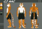  clothed clothing eyewear feline glasses male mammal model_sheet sabrotiger shorts solo tiger topless yoyofreakcj 