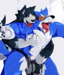  2017 5_fingers abs akitakacbr anthro anthro_on_anthro black_nose blue_fur canine claws clothed clothing cum duo fangs fur male male/male mammal muscular muscular_male open_mouth pecs standing tongue tongue_out topless underwear white_fur wolf 