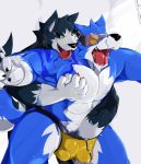  2017 5_fingers abs akitakacbr anthro anthro_on_anthro black_nose blue_fur canine claws clothed clothing duo fangs fur male male/male mammal muscular muscular_male open_mouth pecs saliva standing tongue tongue_out topless underwear white_fur wolf 