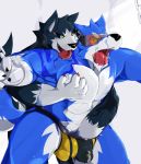 2017 5_fingers abs akitakacbr anthro anthro_on_anthro black_nose blue_fur canine claws clothed clothing duo fangs fur male male/male mammal muscular muscular_male open_mouth pecs standing tongue tongue_out topless underwear white_fur wolf 