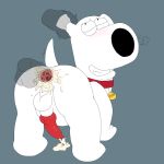  2018 anal anal_penetration balls blush brian_griffin butt canine cum cum_inside erection family_guy fur knot magzol male male/male mammal open_mouth penetration penis sex smile tongue 