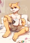  absurd_res anthro black_nose brown_fur bulge canine card clothed clothing cub dog dtrreuaem fur hi_res looking_at_viewer male mammal navel open_mouth playing_card red_eyes sex_toy shiba_inu shorts sitting solo spread_legs spreading teenager topless vibrator white_fur young 