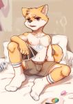  absurd_res anthro black_nose brown_fur bulge canine card clothed clothing cub dog dtrreuaem fur hi_res legwear looking_at_viewer male mammal navel open_mouth playing_card red_eyes sex_toy shiba_inu shorts sitting socks solo spread_legs spreading teenager topless vibrator white_fur young 