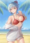  alternate_costume alternate_hairstyle aqua_hair beach bikini blue_sky blush breasts cloud commentary day eyebrows_visible_through_hair green_eyes grey_jacket hair_between_eyes hair_bun hair_ornament hairclip highres jacket kantai_collection large_breasts long_hair looking_at_viewer ocean outdoors palm_tree red_bikini_top sky smile solo suzuya_(kantai_collection) swimsuit tree yamakou_(yamakou_e2) 