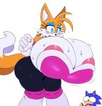  2018 5_fingers anthro armwear big_breasts blue_eyes blush breasts canine chili_dog clothing crossgender duo elbow_gloves eyelashes eyeshadow female fingers fox gloves hedgehog hi_res huge_breasts knees_together makeup mammal miles_prower rouge_the_bat simple_background sonic_(series) sonic_the_hedgehog sssonic2 standing surprise sweat thigh_boots tight_clothing video_games white_background 
