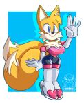  2018 anthro black_nose blue_background blue_eyes blush boots camel_toe canine clothed clothing cosplay crossgender cuisine dipstick_tail female footwear fox fur gloves mammal miles_prower multicolored_tail rouge_the_bat simple_background smile solo sonic_(series) tight_clothing video_games waving white_fur yellow_fur 