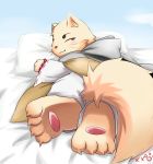  2013 barefoot bed blush canine clothing foot_focus mammal whywhyouo 