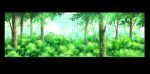  bush commentary_request day foliage forest highres hirota_(masasiv3) light_rays nature no_humans original outdoors scenery tree windowboxed 
