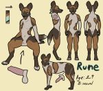  african_wild_dog animal_genitalia anthro balls canine chakat-silverpaws feral fully_sheathed knot male mammal model_sheet nude penis sheath 