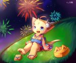  2014 blue_eyes clothing dnaxcat feline female fireworks footwear mammal open_mouth solo whywhyouo 