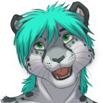  black_nose fangs feline hair head_tilt hi_res ifus leopard long_hair male mammal open_mouth sevrah simple_background smile snow_leopard solo teeth tongue whiskers white_hair 