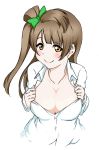  10s 1girl blush breasts brown_eyes cleavage cleavage_reach grey_hair large_breasts long_hair looking_at_viewer love_live! love_live!_school_idol_project minami_kotori shiga_hanabebu simple_background smile solo upper_body white_background 