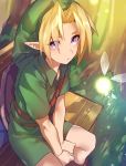  belt bench blonde_hair eyes_visible_through_hair forest green_hat green_shirt hat highres link looking_at_viewer male_focus maruchi nature navi parted_lips purple_eyes shirt short_sleeves sitting solo the_legend_of_zelda 
