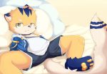  black_fur canine cheese_a child clothing cub cute_fangs digital_media_(artwork) fox fur jacket looking_at_viewer lying mammal on_back open_jacket pawpads shorts spread_legs spreading undershirt white_fur yellow_eyes yellow_fur young 
