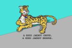  bot feline jagbot jaguar machine mammal mechanophilia robot transformation 