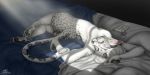  bed bedroom feline female khajiit lounging mammal mrrsizha nude on_bed skyrim solo spots the13thblackcat the_elder_scrolls tired under_covers video_games white_leopard 