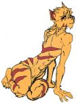  2018 athletic crotch_tuft diety feline female harpseal mammal muscular muscular_female nude red_stripes spectrez stripes tiger zathia/zhatthia(harpseal) 