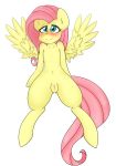  blush equine female fluttershy_(mlp) friendship_is_magic fullbody mammal my_little_pony nervous pegasus plump_labia pose presenting presenting_pussy pussy shy sitting spottyfreak wings 