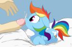  bed cum cum_in_mouth cum_inside cum_on_face cute cutie_mark duo equine erection eyelashes faceless_male feathered_wings feathers female fenix31_(artist) friendship_is_magic human humanoid_penis inside interspecies kneeling male male/female mammal mostazathy my_little_pony penis rainbow_dash_(mlp) simple_background solo_focus wings young 