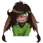  alpha_channel anthro brown_fur brown_hair chupacabra clothed clothing crying eric_dielli fur green_eyes hair hoodie lemur2003_(artist) looking_at_viewer male reaction_image sad simple_background tears transparent_background 
