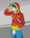  balls bottomless clothed clothing digimon flamedramon hoodie humanoid_penis male penis shiuk solo 