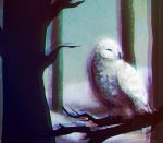  2017 ambiguous_gender anaglyph avian beak bird black_beak blue_eyes branch chromatic_aberration digital_media_(artwork) digital_painting_(artwork) feathers feral hi_res owl solo star-reapers stereogram tree watermark white_feathers wings 