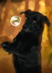  2018 ambiguous_gender black_nose bubble canine claws detailed digital_media_(artwork) digital_painting_(artwork) dog feral fur hi_res mammal martith outside photorealism realistic signature smile solo speedpaint 