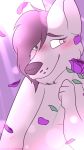  ambiguous_gender blush canine clock-work flower fur green_eyes hair mammal pink_fur pink_hair plant rose 