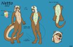  4_toes anthro claws female front_view hair male mammal model_sheet mustelid netto_(uk-brony) nipples nude one_eye_closed open_mouth otter rear_view skizu smile solo standing tagme teeth toes tongue 