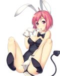  animal_ears bow bowtie bunny_ears bunnysuit daibouken!_yukeyuke_osawari_island demon_girl demon_tail eyebrows_visible_through_hair full_body galette nontan pink_eyes pink_hair shoes short_hair tail transparent_background 