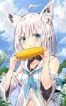  ahoge animal_ears bangs bare_shoulders blue_eyes blue_neckwear blue_sky blush braid breasts cloud cloudy_sky collarbone commentary_request corn day detached_sleeves eyebrows_visible_through_hair food fox_ears fox_girl grin hair_between_eyes highres holding holding_food hololive long_hair long_sleeves looking_at_viewer navel neckerchief outdoors shirakami_fubuki shirt side_braid silver_hair single_braid sky sleeveless sleeveless_shirt small_breasts smile solo sukemyon virtual_youtuber white_shirt wide_sleeves 