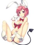  animal_ears bow bowtie bunny_ears daibouken!_yukeyuke_osawari_island demon_girl demon_tail eyebrows_visible_through_hair full_body galette nontan pink_eyes pink_hair shoes short_hair tail transparent_background 