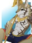  2018 anthro canine clothed clothing fur hi_res male mammal muscular muscular_male seth_(tas) sixtyfive65 solo swimsuit tokyo_afterschool_summoners 