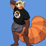  anthro blonde_hair bulge clothed clothing hair hyper hyper_bulge male mammal octopoodle overwatch red_panda simple_background smile solo standing video_games 