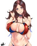  absurdres bangs bikini blue_eyes bracelet breasts brown_hair choker closed_mouth collarbone commentary cowboy_shot eyebrows_visible_through_hair fate/grand_order fate_(series) highres jewelry kisaragi_(legobionicle23) large_breasts leonardo_da_vinci_(fate/grand_order) looking_at_viewer navel parted_bangs shiny shiny_skin signature simple_background skindentation smile solo standing swimsuit white_background 