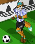  2011 adidas amocin anthro ball barefoot canine clothed clothing fox fur male mammal smile soccer soccer_ball solo sport 