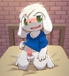  anthro balls bed blush bottomless brick brick_wall cave_story clothed clothing cub cum cum_string erection fangs fur kneeling lagomorph male mammal mimiga on_bed open_mouth penis precum shirt smile solo tapering_penis tongue ura video_games white_fur young 