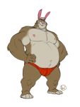 2019 5_fingers anthro clothing digital_media_(artwork) fur furrybob hi_res lagomorph male mammal nipples overweight overweight_male rabbit simple_background solo standing underwear white_background 